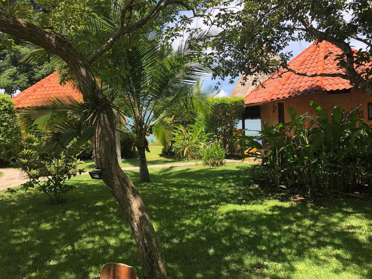 Cala Mia Hotel Boca Chica Eksteriør billede