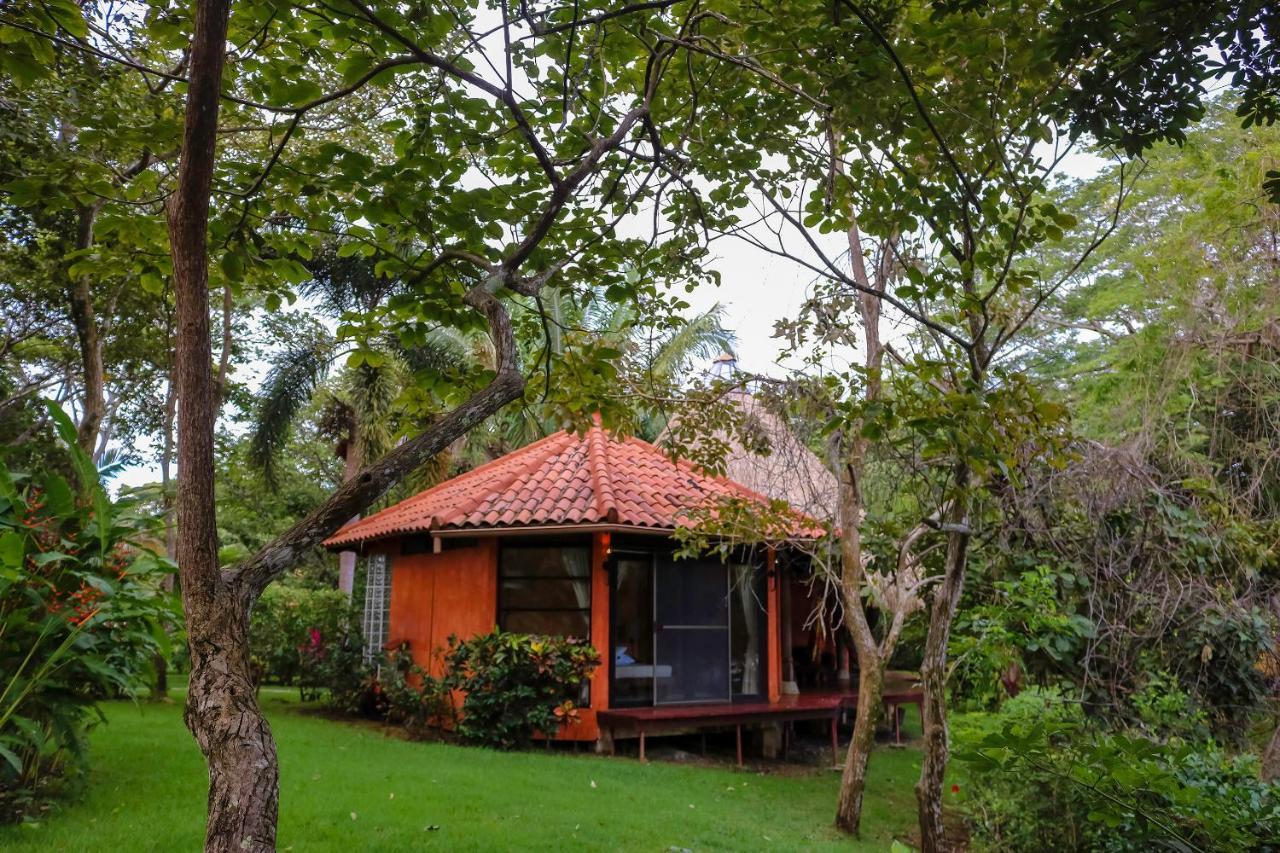 Cala Mia Hotel Boca Chica Eksteriør billede